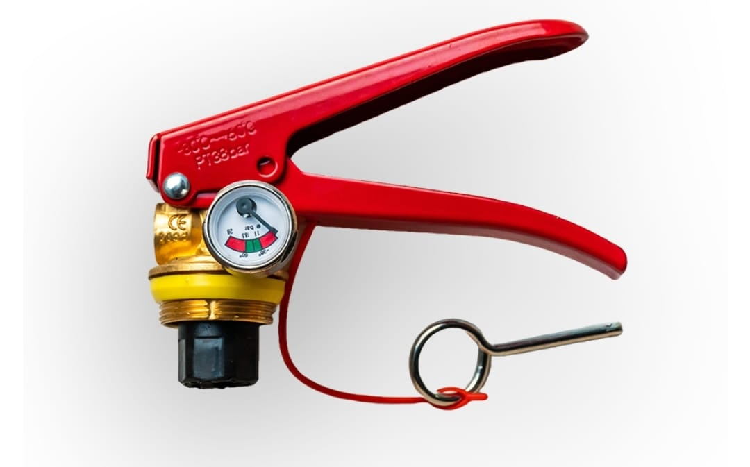 mmesportazione1718376743763