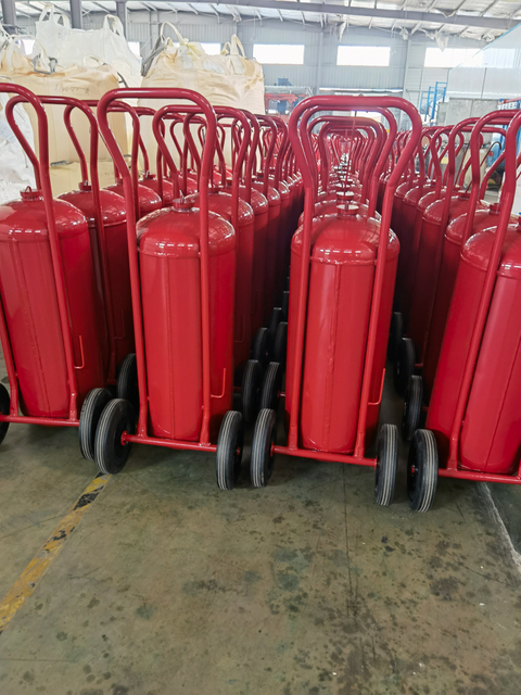 Estintore a polvere secca da 50 kg