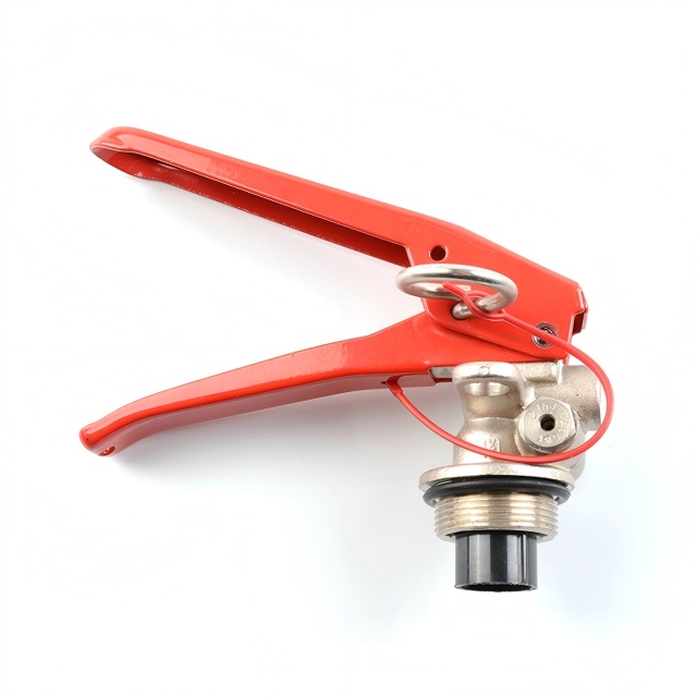 Valvola per estintore a polvere secca standard M30 CE con valvola di sicurezza