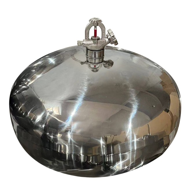 Estintore automatico a polvere secca in acciaio inossidabile da 6 kg 