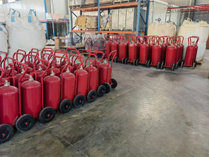 Estintore a polvere secca da 25 kg