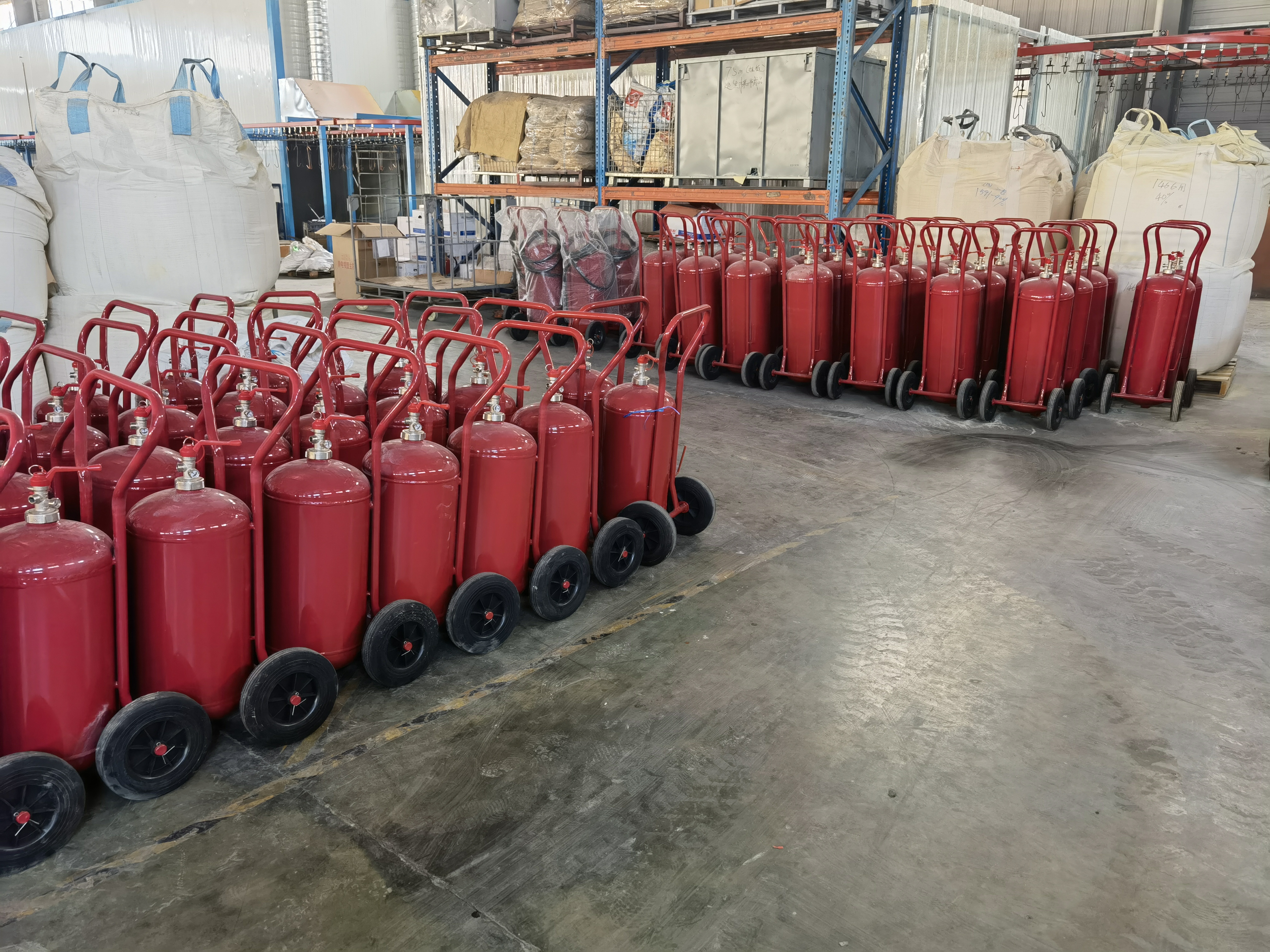 Estintore a polvere secca da 25 kg