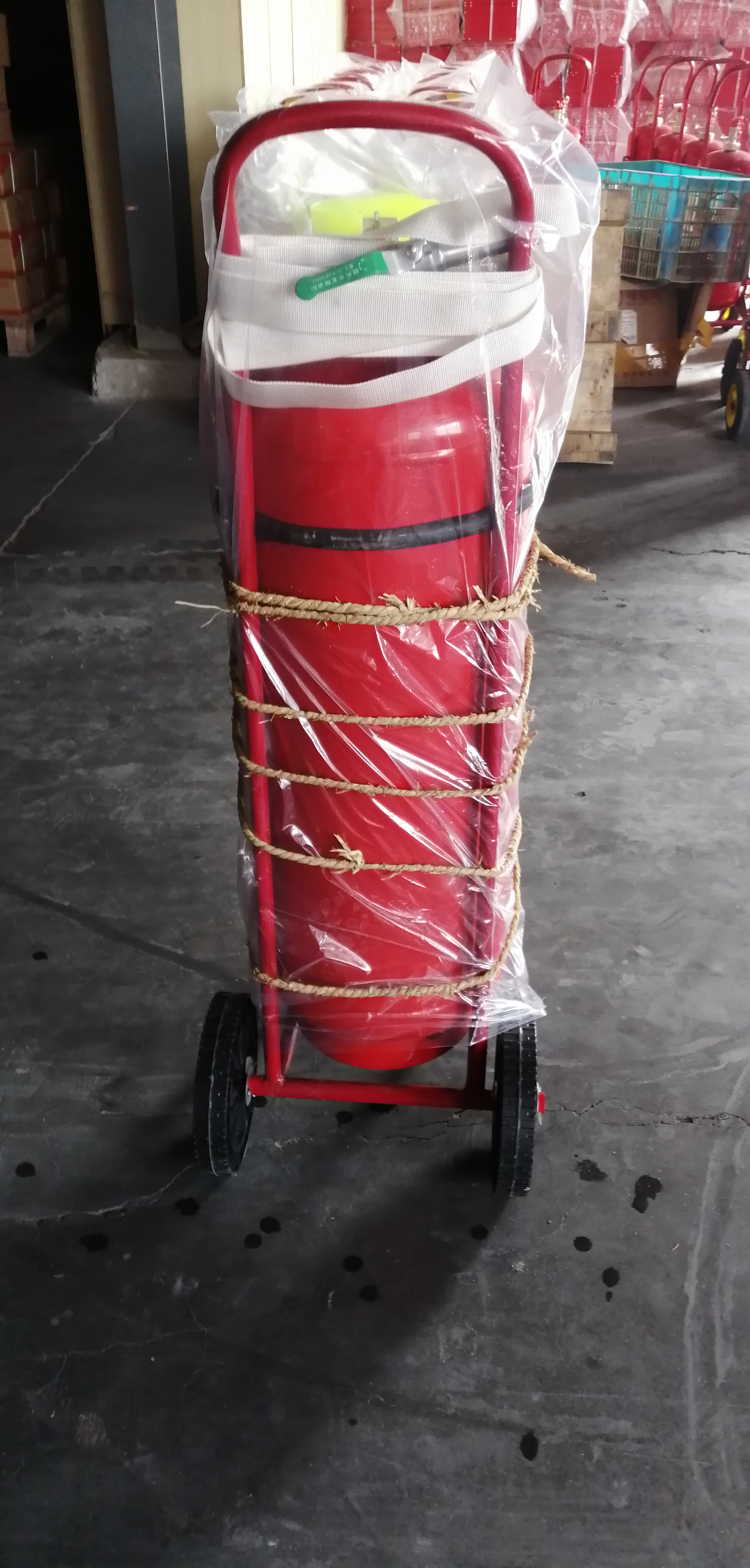 Estintore a polvere secca da 50 kg