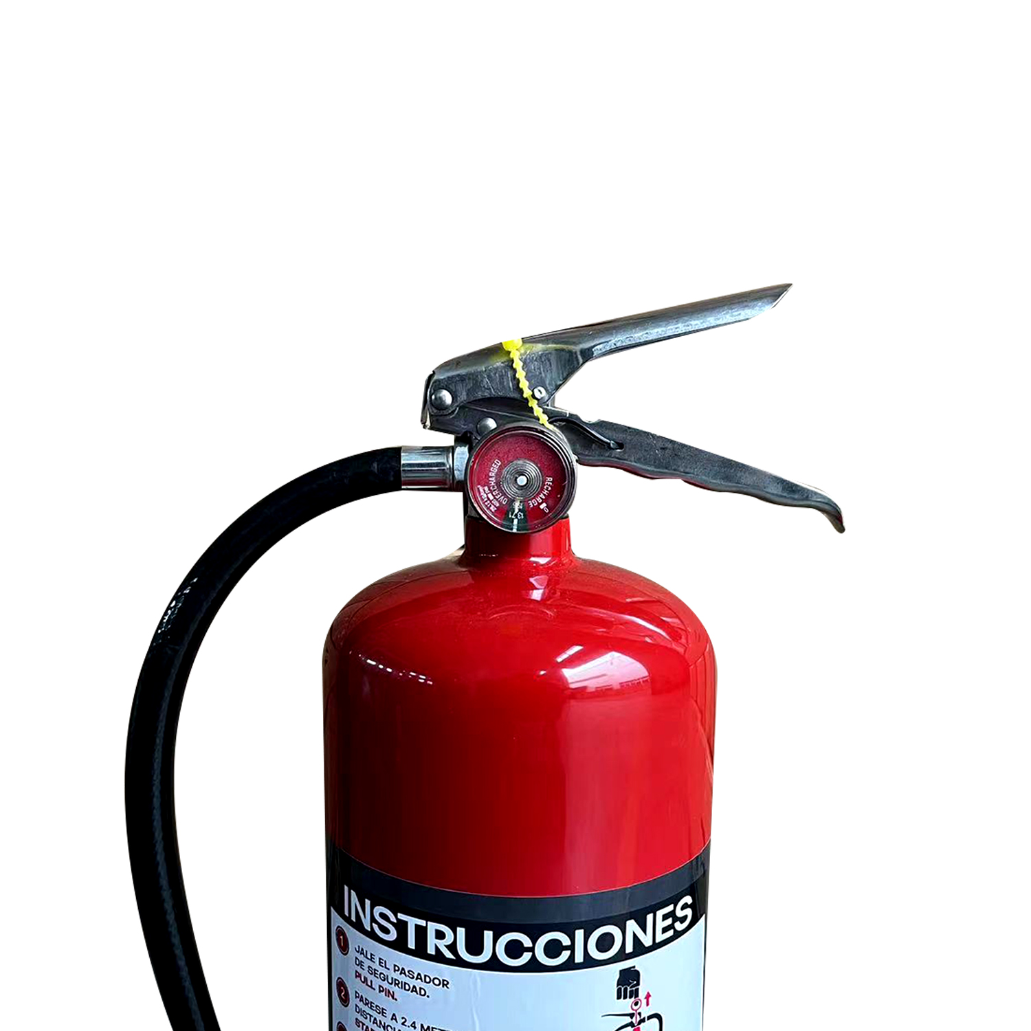 Estintore portatile a polvere secca STILE USA da 10 libbre 