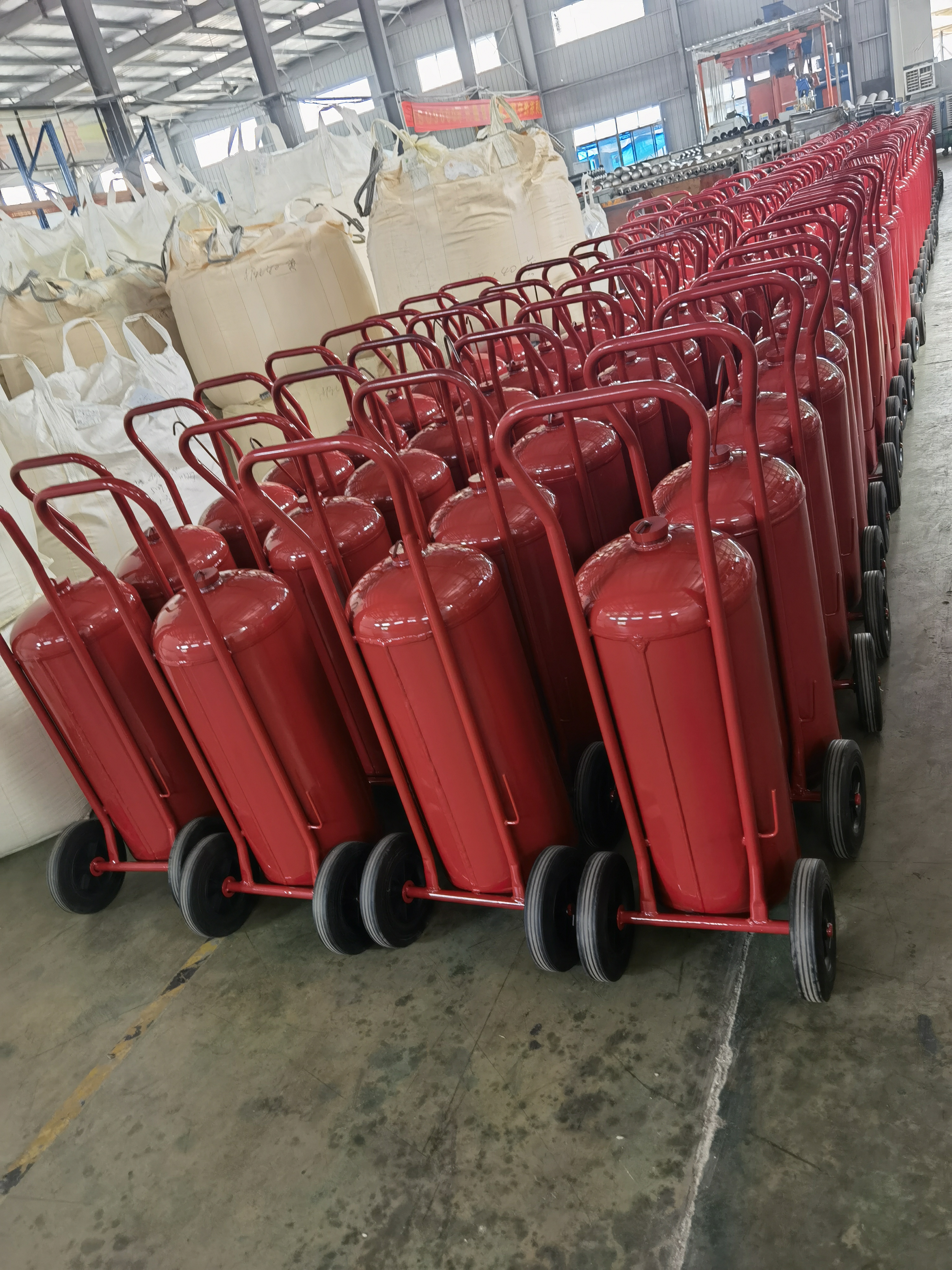 Estintore a polvere secca da 50 kg